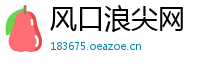 风口浪尖网